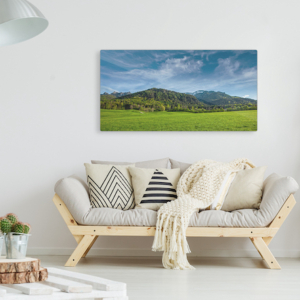 Infrared heating panel IC900-Plus with picture