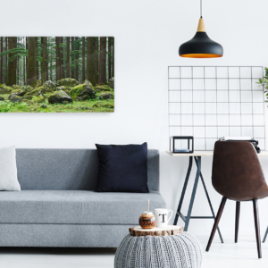 Pildiga infrapuna küttepaneel IC700-Plus